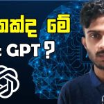 What is Chat GPT ? | How to Use Chat GPT ? | Chat GPT Explained in Sinhala
