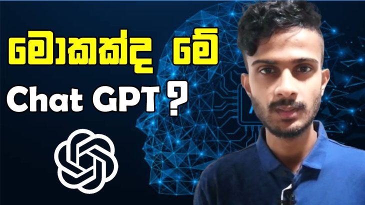 What is Chat GPT ? | How to Use Chat GPT ? | Chat GPT Explained in Sinhala