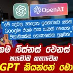 ලෝකෙම බිස්නස් වෙනස් කරන ChatGPT කියන්නේ මොකක්ද? | ChatGPT Review Sinhala | @SanjayaElvitigala