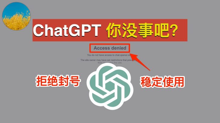 ChatGPT 注册和使用太难了！ChatGPT 封号潮该怎么办？到底该如何使用 ChatGPT？为啥有的人账号好好的，而我的就被封了？｜数字牧民LC