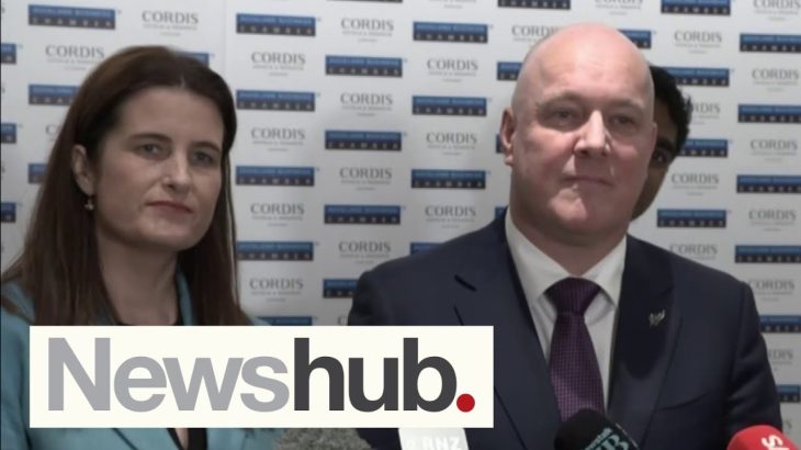 ChatGPT’s startled response after National pledges tax receipts for every Kiwi using AI | Newshub