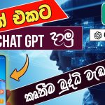 How to use Chat GPT on mobile phone 2023 sinhala | tutorial for beginners | SL Academy
