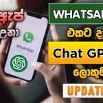 Whatsapp එකට ආව Chat GPT🔥 | Chat gpt To Whatsapp Sinhala | whatsapp big update |  SL Academy