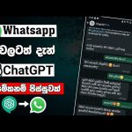 වට්සැප් වලටත් දැන් chatgpt | whatsapp chatgpt ai sinhala | chatgpt assignment sinhala