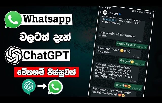 වට්සැප් වලටත් දැන් chatgpt | whatsapp chatgpt ai sinhala | chatgpt assignment sinhala