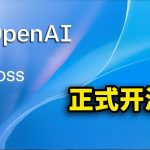 OpenAI 正式开源！本地免费部署ChatGPT，普通电脑也能轻松跑， gpt-OSS 最强版媲美 o3 模型！附最新下载安装教程！| 零度解说