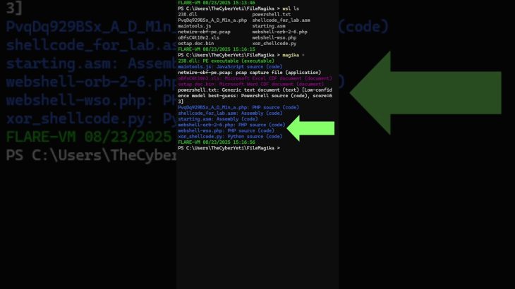 🧙‍♂️ Magika Unveiled: AI-Powered File Type Detection in Action!